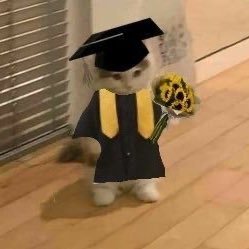 __catsuuux's profile picture. animal rescuer since 2019