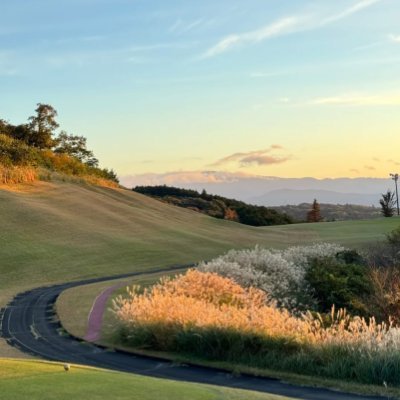 zlybk17142184's profile picture. 目標に向かって、時には迷いながらも前進しています。人生を変えるために、毎日努力を重ねています。