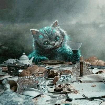 koshkohodka's profile picture. стремление к гармонии и благоразумию ✨️ 
мне 24 🛸 окр ✨️ шегрен (аиз) 🛸 ищу мью ✨️ кошка + тихоходка 🐈‍⬛