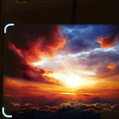 JazminGree62749's profile picture. 