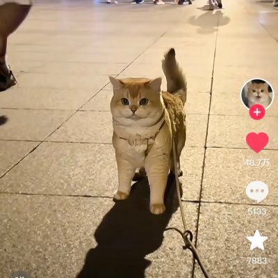 144uim's profile picture. 