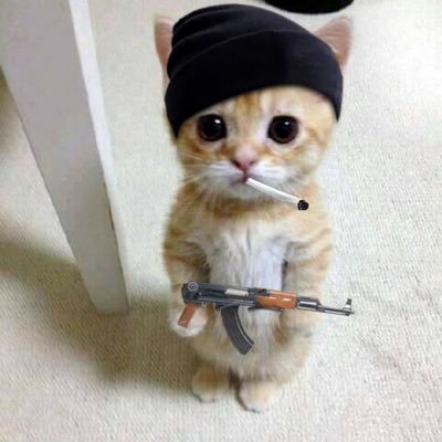 omicronX0's profile picture. 