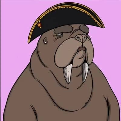 Big_s3nt's profile picture. Reply guy || @SuiNetwork || crypto || #Web3