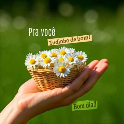 EdvaniaClu6549's profile picture. 