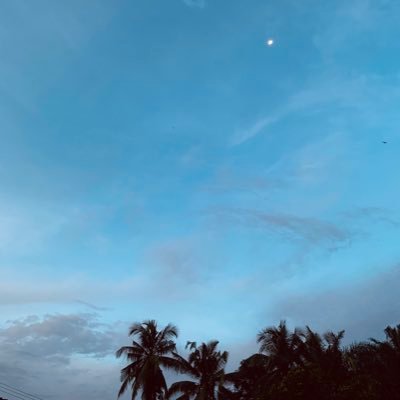 ccingme's profile picture. Joss Wayar🧛💜 Gawin Caskey🐧❤️ Sky Wongravee🐶🩵 Nani Hirunkit🐱🩷