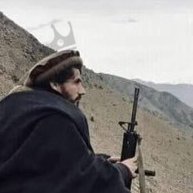A Kabuli persian=tajik=dehghan | A_r1a 𐎱𐎠𐎼𐎿 Aryann | 大食 卐 | parsiwan = Guardian of persian | viva #NRF شورای نظاری |