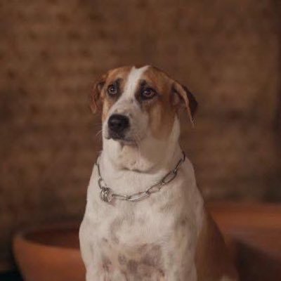 JNewpudsri's profile picture. 