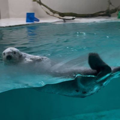 D_e_a_r______'s profile picture. 関西▶︎関東▶︎中部 JAM’S🚺 11/8,12/15🦅