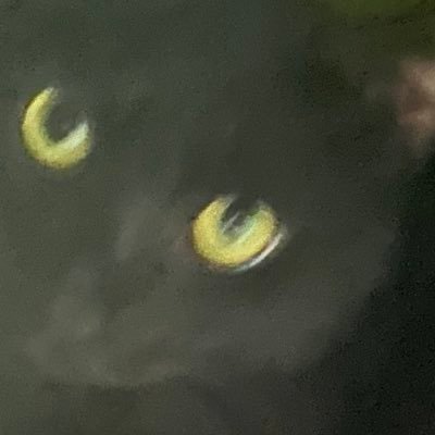 Osk__5022's profile picture. 