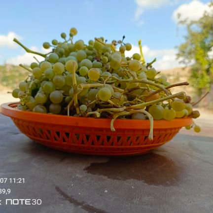 rkarip06's profile picture. 