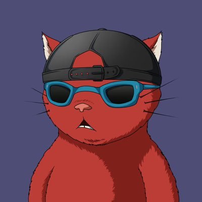 whatever in life you do give 100% unless you’re donating blood!!! I like watching funny dog videos!!! I run with $GUGO!!! I swim with $OTTO!!!