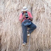 Girish Menon (@wildlifegiri) 's Twitter Profile Photo