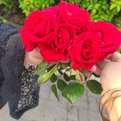 الحياةُ أجمل عندما نشكر الله على ما ذهب منا، وما بقي لدينا، وما سيأتي.