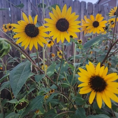 cathyproctor123's profile picture. former biz reporter.