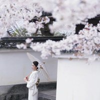 美惠子 (@mukeshk84597935) 's Twitter Profile