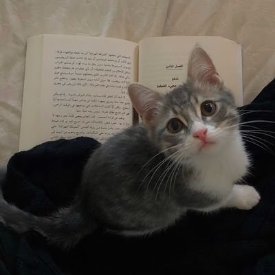 mrrrriiiim's profile picture. 