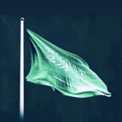 مشجع نصراوي.