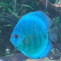 gmanta (@gmanta480003) 's Twitter Profile