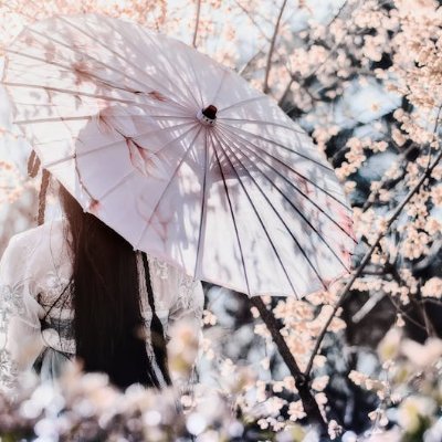 cole_horns81247's profile picture. 