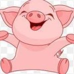 BellishSam8454's profile picture. Follow me and i will follow you!