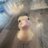 hangbokheyo_'s profile image