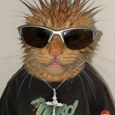 slimthicc_shady's profile picture. 