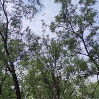 Aftsyassi (@aftsyassi) 's Twitter Profile