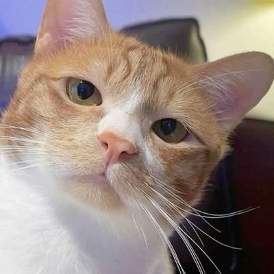 nnaxxiys's profile picture. 