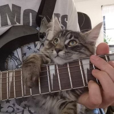 ffrreessiaa's profile picture. hellooo