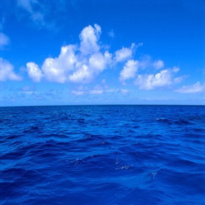 DeepBlueCii's profile picture. 