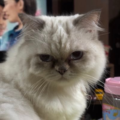 anndreagless's profile picture. ust biochem | ust medicine⚕️