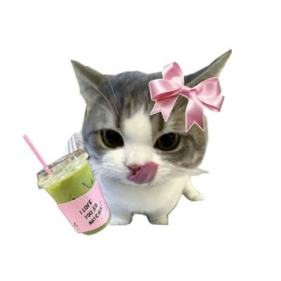 nay²⁶ free tag 🐻‍❄️ྀི Profile