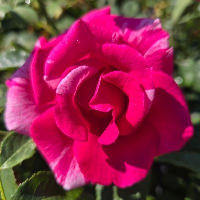 Starry6Amyyyyyy's profile picture. -It's just love, there's nothing that's more real-