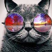 Luc1938569's profile picture.