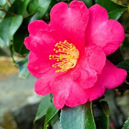 haruka_0916230's profile picture. 