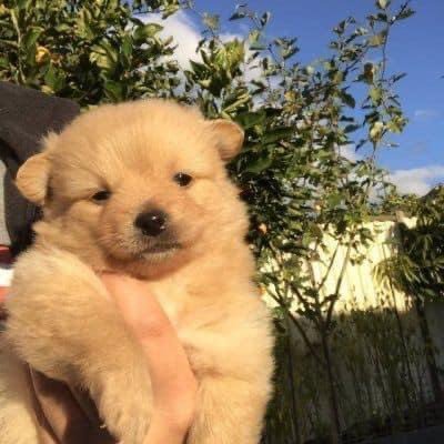 zxsdwey's profile picture. 🐈‍⬛❤️‍🩹