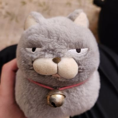 宵闇 夜宵(よいやみ やよい)さんのプロフィール画像