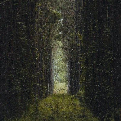 jameskraft420's profile picture. 