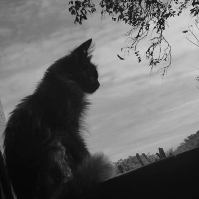 GabrielRxj's profile picture. 