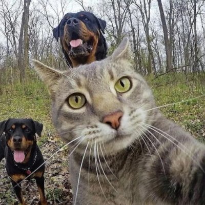 lazyfeifei_'s profile picture. Being alive is not the goal, living well is the goal.I love my country #USA I love #MONTANA I love my president #TRUMP 🇺🇸❤️🤍💙🇺🇸