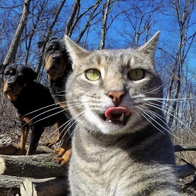 WJannise14736's profile picture. 🍀Love nature and love yourself🍀🌻Do what you like, no need to care about others🌻🫅🏻In your life,