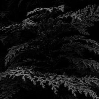 Dave0bigDavid's profile picture. Live