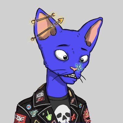 VeltenMaur44944's profile picture. 