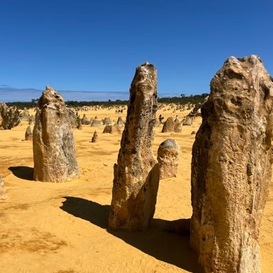 blockchain1808h's profile picture. Diploma in Applied Blockchain