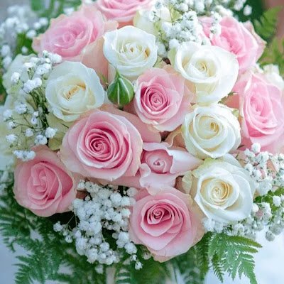 NancyAbalo's profile picture. 