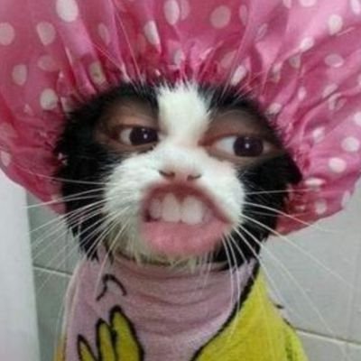 juuja5929's profile picture. 4eve forever