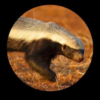 kedileoo's profile picture. Dünya denen arenada biçareyiz..