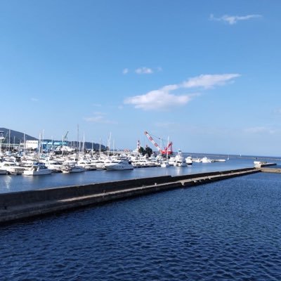 forword6282's profile picture. 