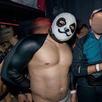 種壺panda (@tanetsubo_panda) 's Twitter Profile
