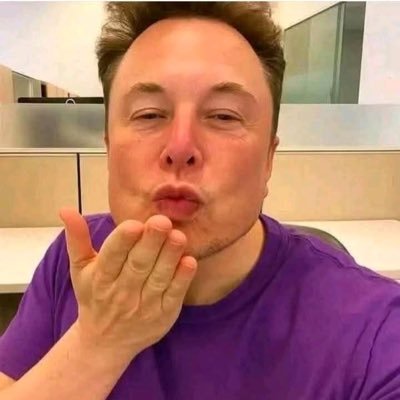 Elonparody264's profile picture. 